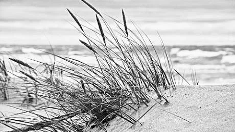 "Blåsigt på Tofta Strand".Foto: Ellen Marie Martinsen