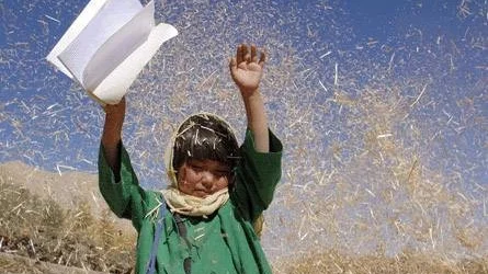 Den fantastiska Nikbakht Norus spelar Bachtay, en afghansk flicka som inte vill annat än att gå till skolan.      Foto: Folkets Bio
