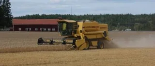 Priserna pressas nedåt