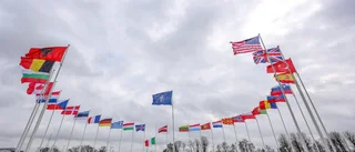 Sverige bör NU ansöka om medlemskap i Nato