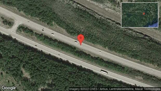 Älg på vägen på E20
