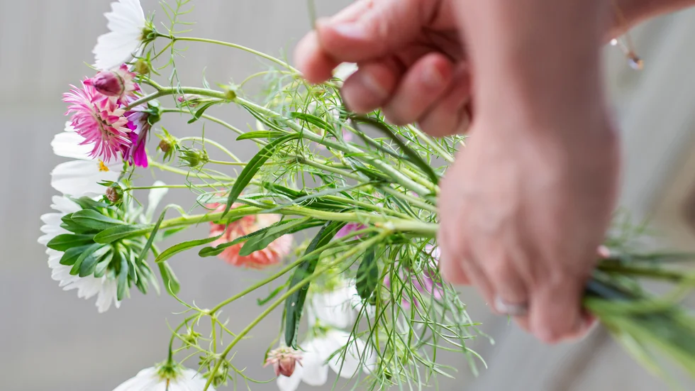 Mors dag infaller sista söndagen i maj och vanligaste sättet att fira på är att ge bort blommor eller att helt enkelt träffas. Arkivbild.