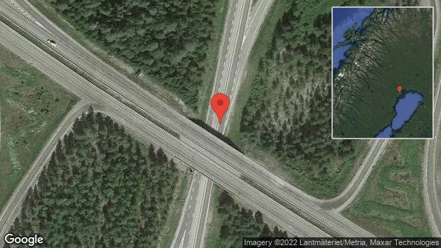 Älg på vägen på E4