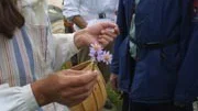 Karin Randberg lyssnar intresserat när Marie Sjöström och Staffan Söderlund berättar om de blomster som trivs allra längst ute i havsbandet.