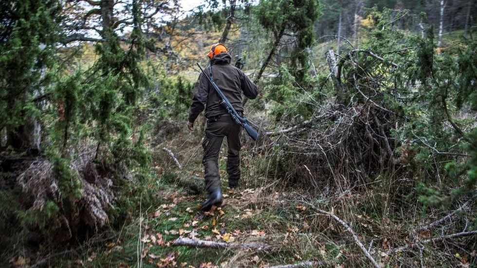 Varför har så många jägarre svårt att erkänna varför de jagar, skriver Per-Olof Göteby.