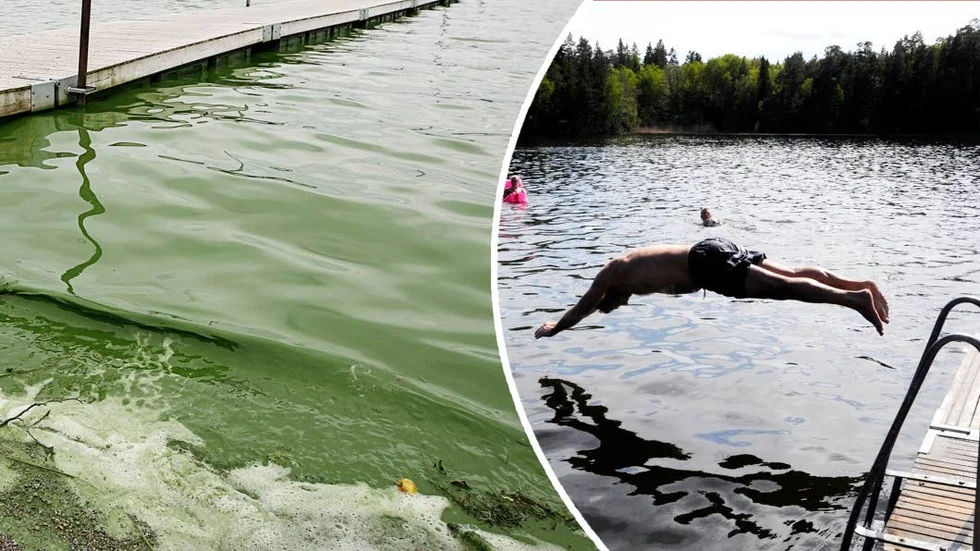Kommunen avråder från bad i Fjällnora friluftsområde.
