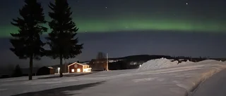 Läsarbilden: Vackert norrsken i Gråträsk