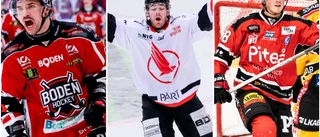 Klart: Så spelas kvartsfinalerna i hockeyettans slutspel • Hett länsderby väntar