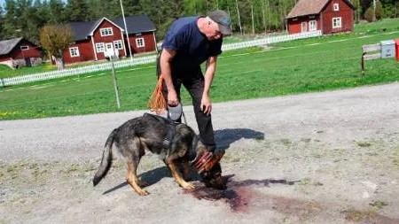 Per Blomkvist och spårhunden Falco.