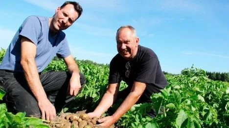 Far och son, Anders och Michael Johansson, potatisodlare utanför Karlholmsbruk är nöjda med årets skörd.