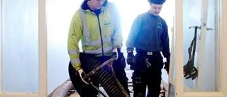 Relita bryter ny mark utanför Uppsala