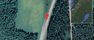 Renar på vägen på E10