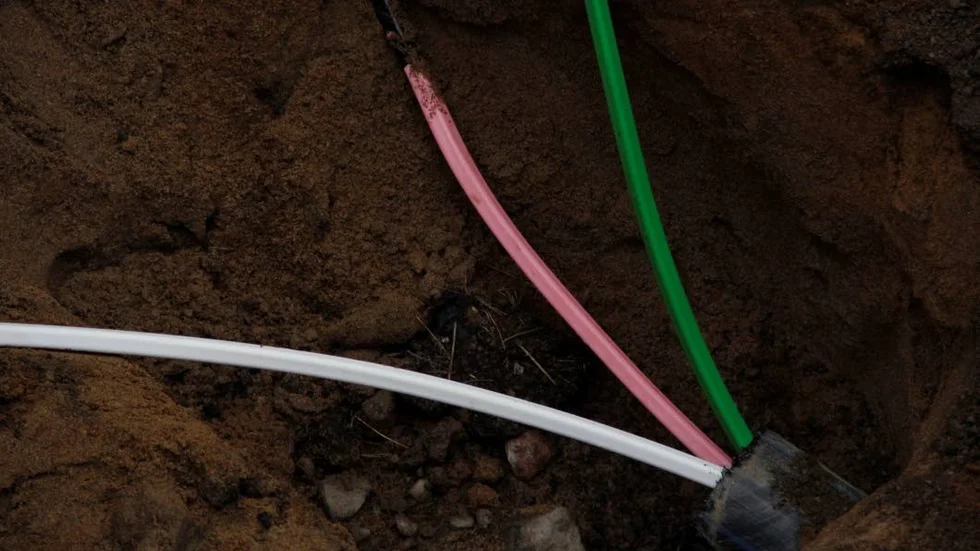 Fiber.