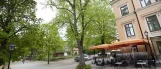 Bebygg inte Odinslund!