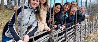 Årets tema i Idéträdgårdarna har presenterats; Vi får besöka trädgårdsmästarens hem