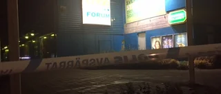 Ytterligare en person gripen