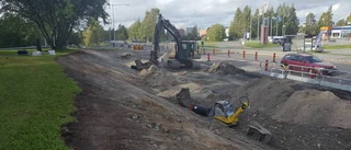 Därför är gräset avskalat längs med Hertsövägen