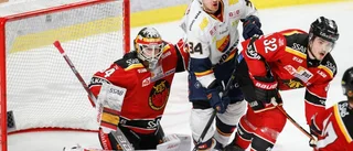 "Han trivs bäst mot Djurgården"