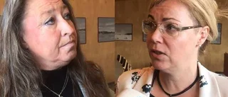 SE: Så vill partierna spara