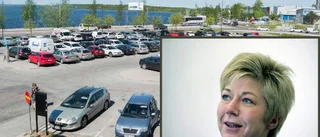 Flera vill se en stadsarkitekt i Luleå
