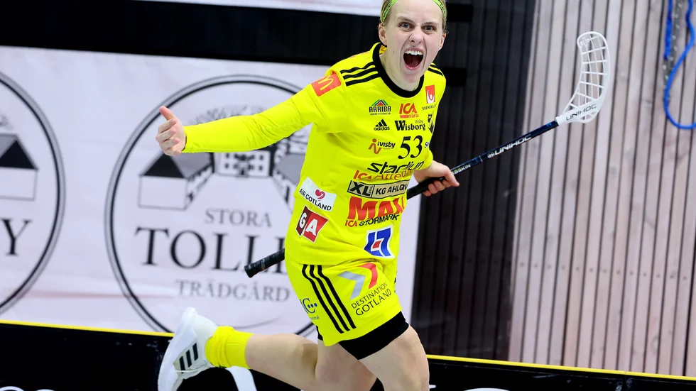 Endres kapten Elin Roos har belönats med en landslagsplats. 