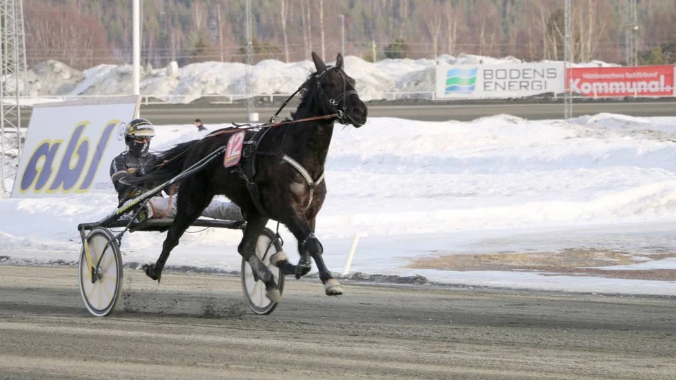 Glace Au Four med lärling Sanna Eriksson i sulkyn. Eriksson som 2019 toppar lärlingslistan.