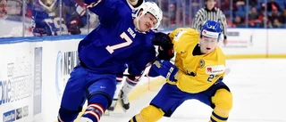 Utlånad från Luleå Hockey – klar för Calder Cup-final