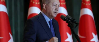 Erdogan bär ansvaret