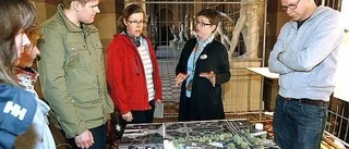 Stort intresse för Blåsenhus