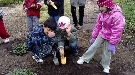 Mohammed, Ari och Ava påtar i jorden.