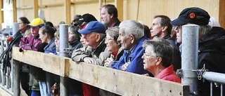 Invigning på Gräsö gård