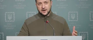 TV: Stående ovationer när Zelenskyj talade till svenska riksdagen • Upplåst artikel