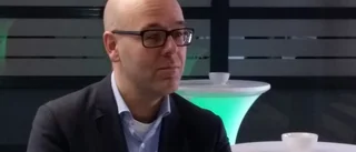 Björneke brinner för bamba
