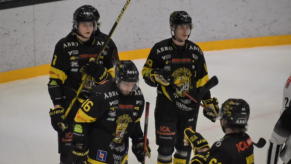 Vimmerby gjorde en stark insats mot Dalen.