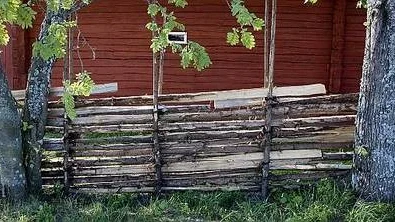 Disagården har fått ett par hundra meter nybygd gärdsgård i sommar.