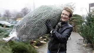 Karin Lindberg med nyinförskaffad rödgran.