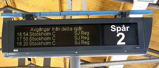 Dyr resa med SJ