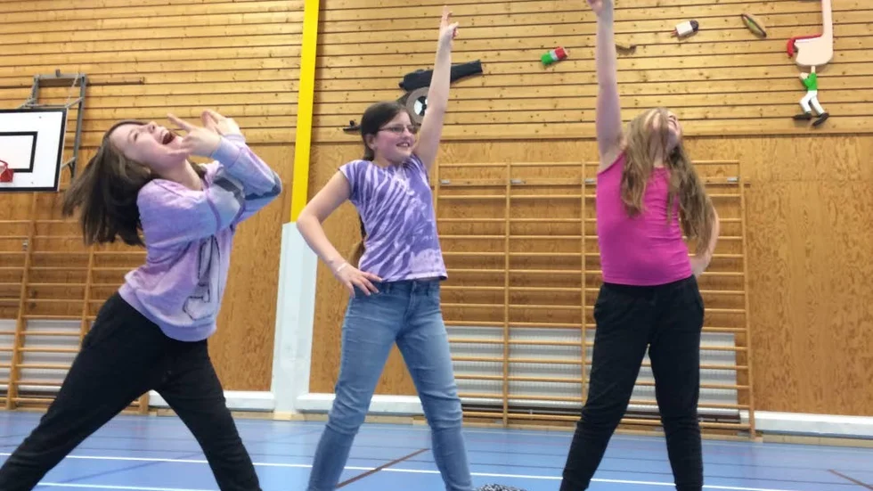 Dans. På lördag är det regional avslutning av "DANSA!", ett samarbetsprojekt mellan fyra kommuner i Uppsala län.