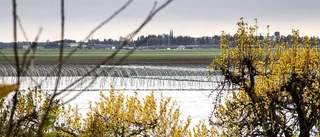 Uppsala kan få flygflottilj igen