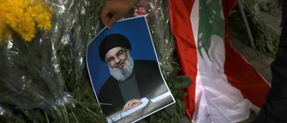 Iran lovar hämnas "Israels terroraktion"