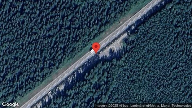 Älg på fel sida viltstängslet på E4