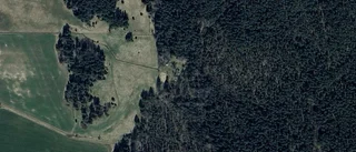 59-åring ny ägare till stuga i Fjärdhundra – prislappen: 895 000 kronor
