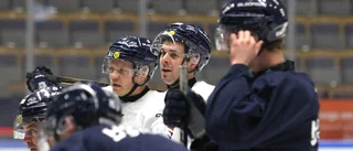 LHC:s annorlunda lösning – när stjärnan är tillbaka: "Gillar det"