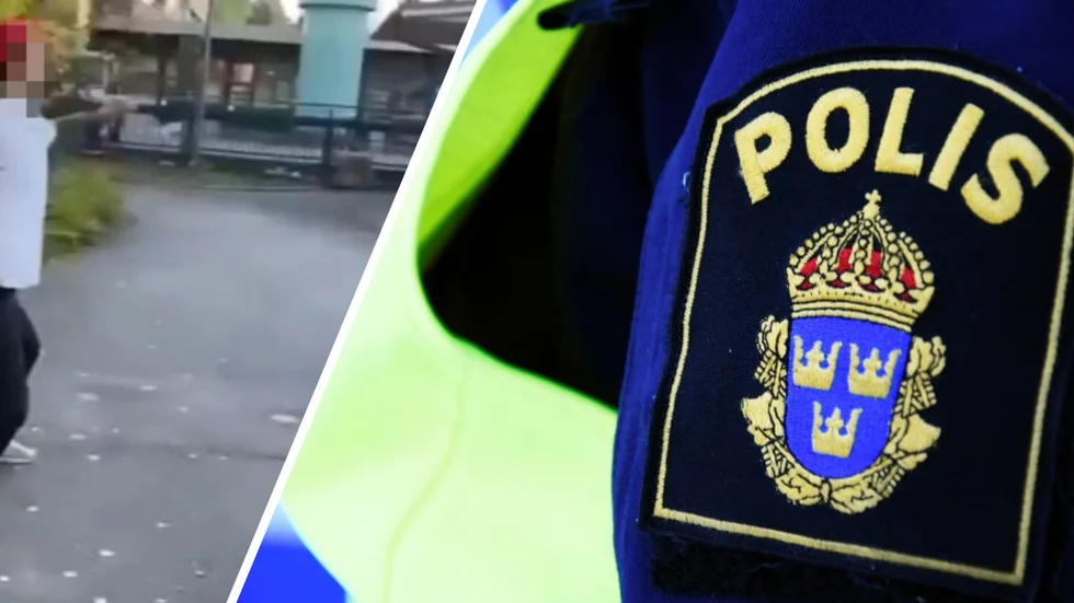 Polisen i Luleå får beröm i en insändare.