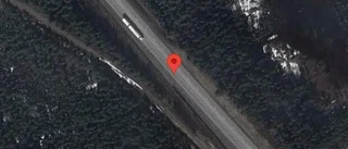 Renar på vägen kan skapa fara på E4