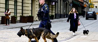 Ägaren döms ut – blir av med sin hund