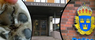 Utsatte hund för lidande – får hundförbud 