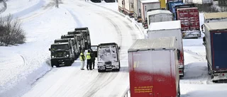 "Pinsamt" få svenska kontroller på vägarna