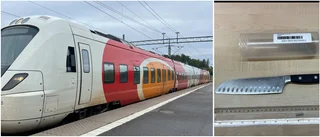 Motalabo blev tillfrågad om biljett – då dödshotade han tågvärden