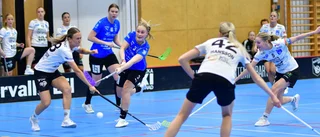 Kvalskrällen: "Hundra procent bättre än att fylla år"